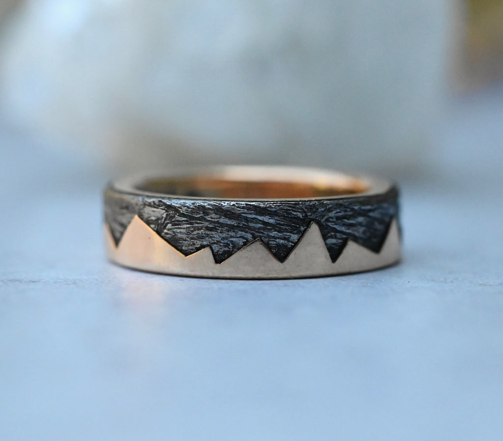 Meteorite & 14k Gold Zag Ring - Made To Order Latta