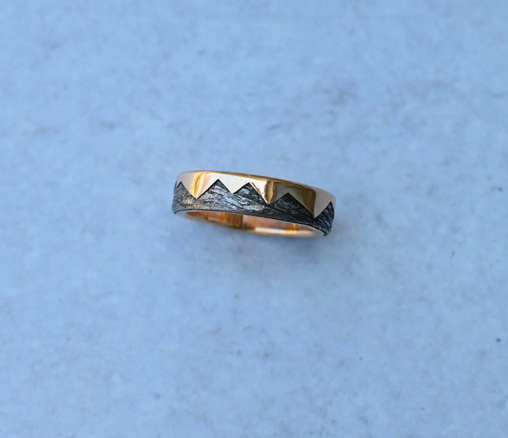 Meteorite & 14k Gold Zag Ring - Made To Order Latta