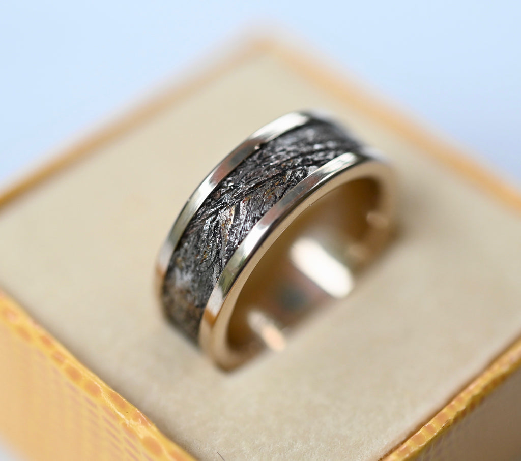 Meteorite & 14k White Gold Ring - Made To Order Latta