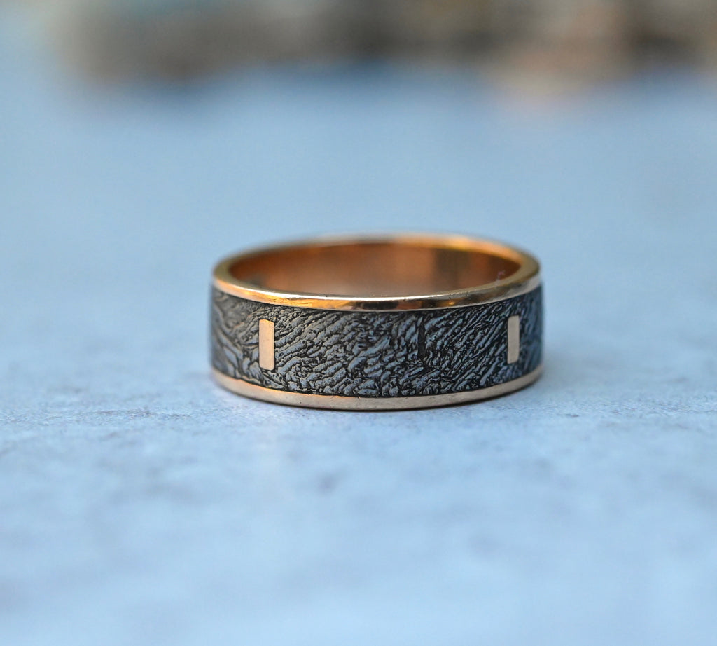 Meteorite & 14k Gold Bar Ring - Made To Order Latta