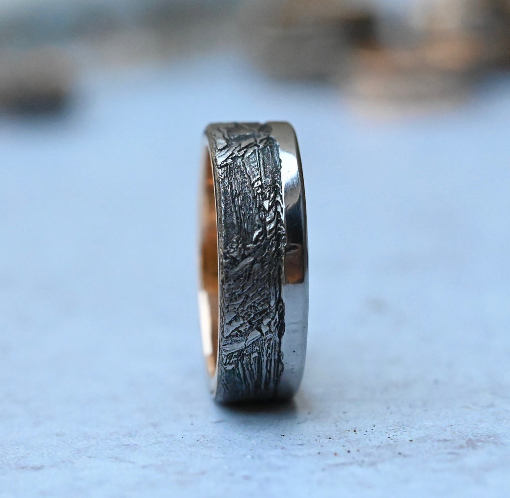 Meteorite & 14k Gold Mixed Metal Ring - Made To Order Latta