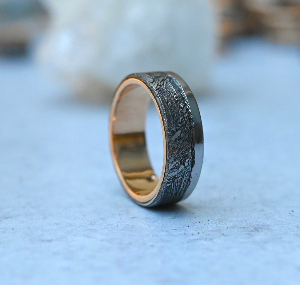 Meteorite & 14k Gold Mixed Metal Ring - Made To Order Latta