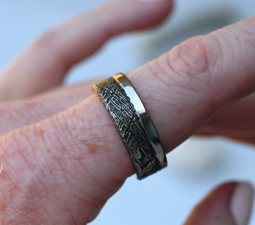 Meteorite & 14k Gold Mixed Metal Ring - Made To Order Latta