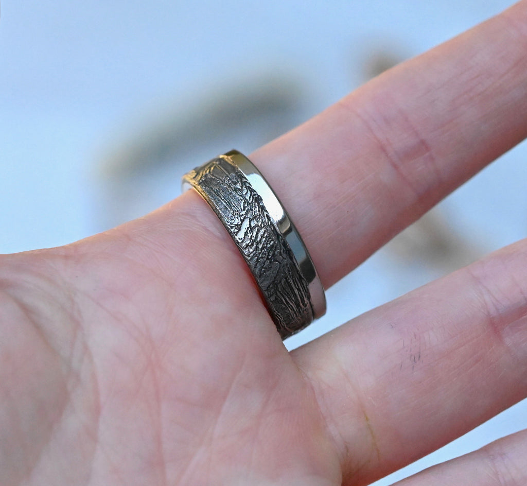 Meteorite & 14k Gold Mixed Metal Ring - Made To Order Latta