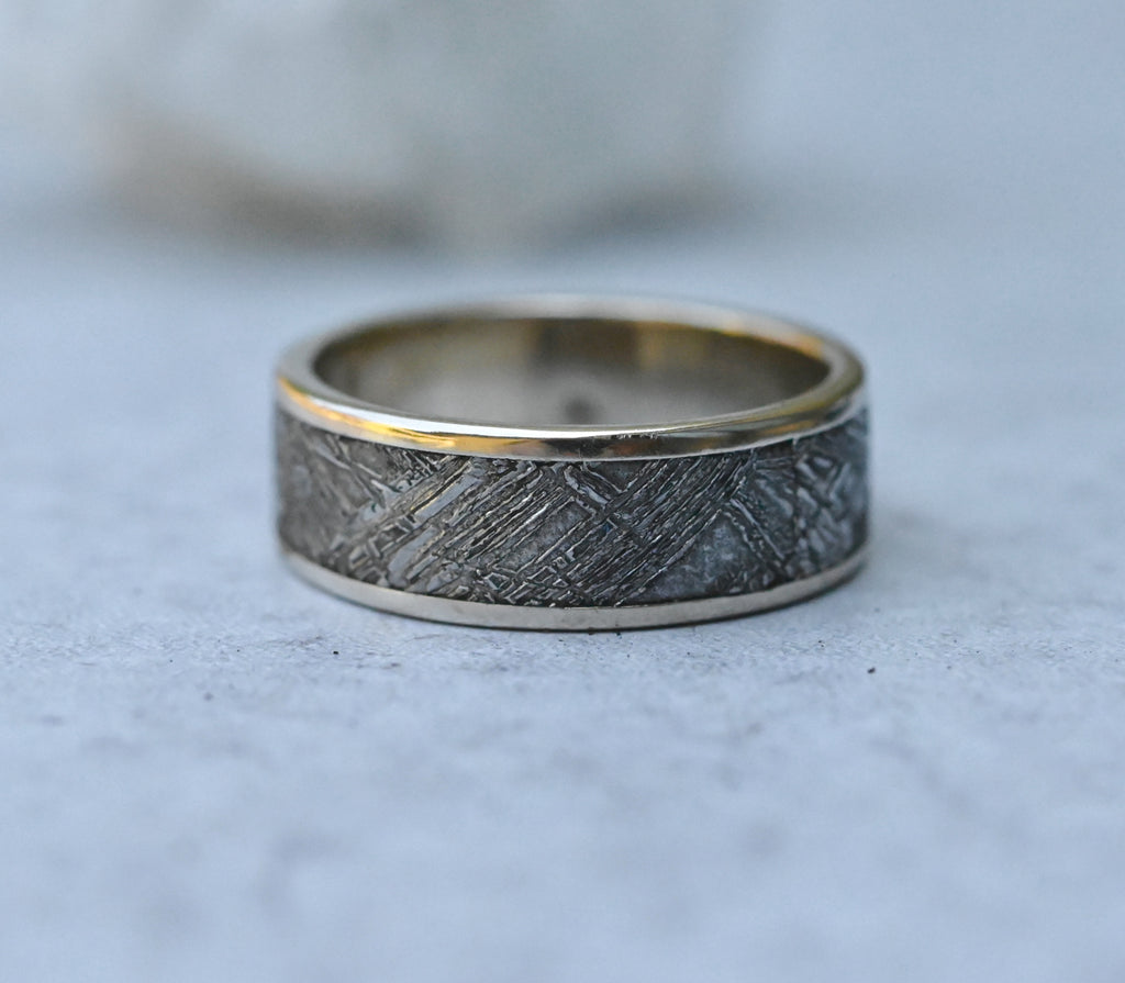 Meteorite & 14k White Gold Ring - Made To Order Latta